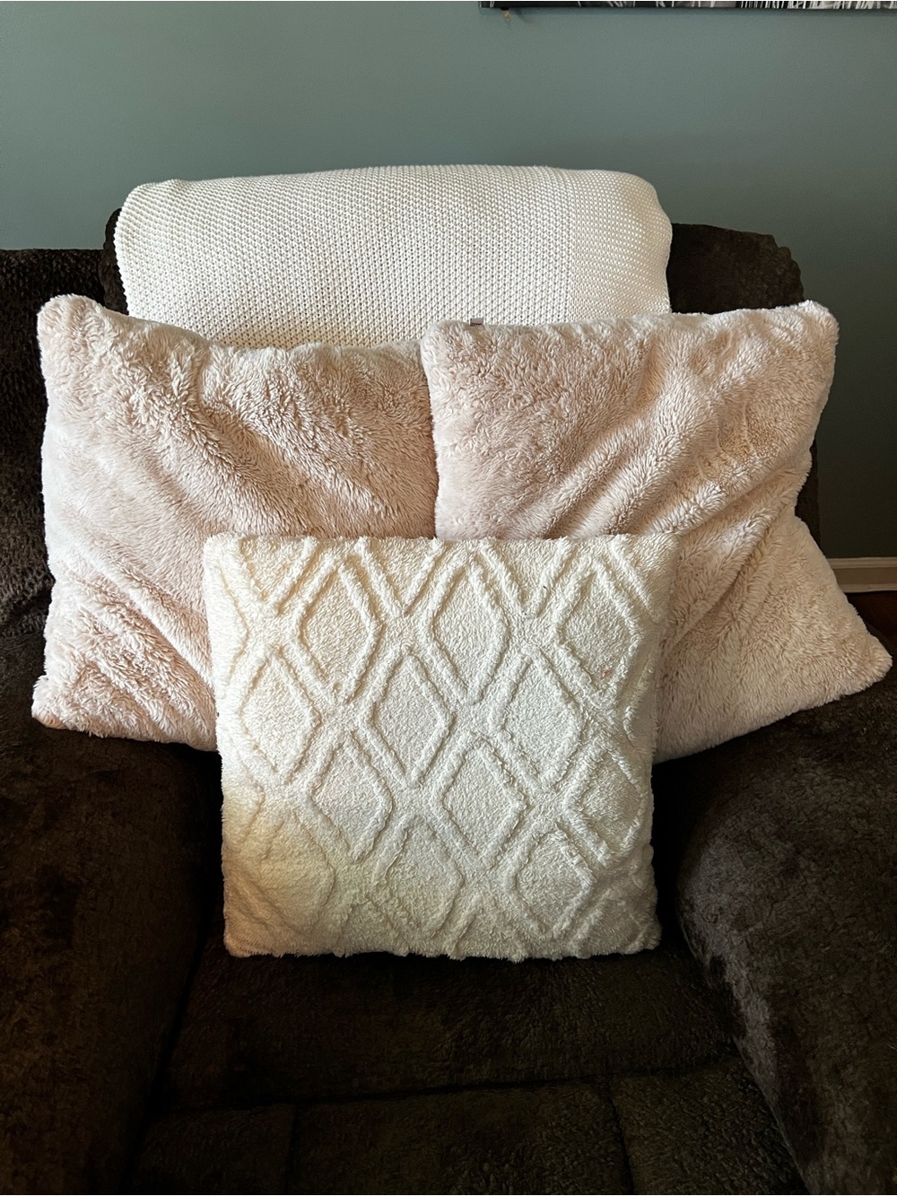 Plush Cream Decorative Throw Pillow Set - Soft Texture